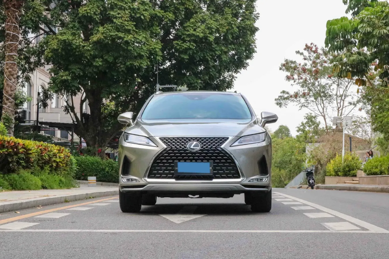 2020 Lexus RX 2.0T 231HP L4 6AT,autocango,china used car exporter,china ev exporter,chinese used car exporter,chinese used ev exporter