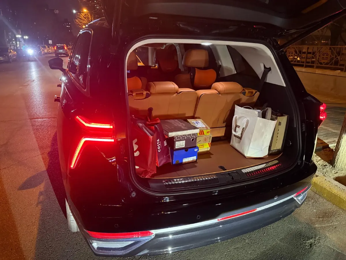 2025 WEY BlueMountain 1.5T 170HP L4 4DHT PHEV 44.5KWH,autocango,china used car exporter,china ev exporter,chinese used car exporter,chinese used ev exporter