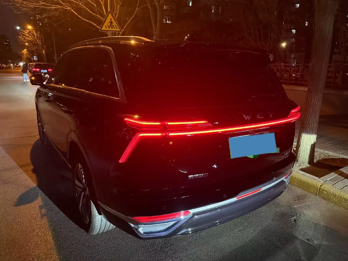 2025 WEY BlueMountain 1.5T 170HP L4 4DHT PHEV 44.5KWH,autocango,china used car exporter,china ev exporter,chinese used car exporter,chinese used ev exporter