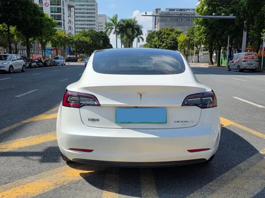 2020 Tesla Model 3 BEV 52KWH,autocango,china used car exporter,china ev exporter,chinese used car exporter,chinese used ev exporter