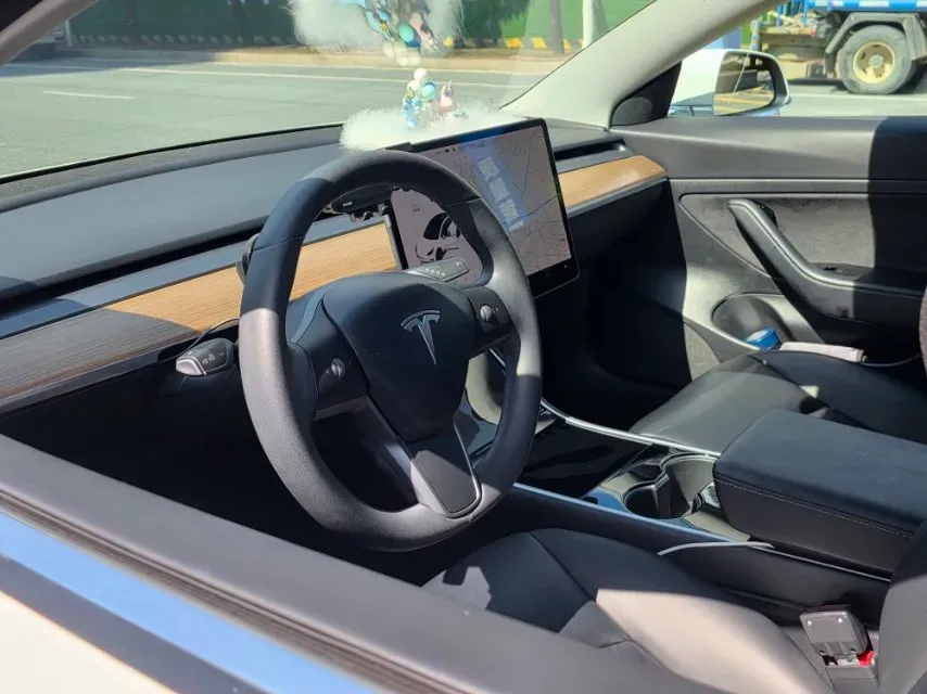 2020 Tesla Model 3 BEV 52KWH,autocango,china used car exporter,china ev exporter,chinese used car exporter,chinese used ev exporter