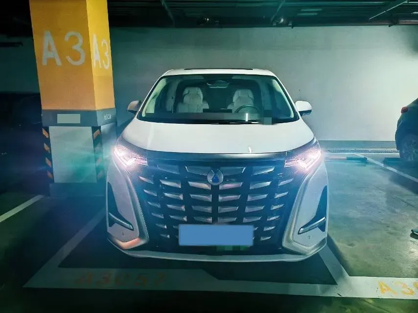 2024 Denza D9 1.5T 139HP L4 E-CVT PHEV 40KWH,autocango,china used car exporter,china ev exporter,chinese used car exporter,chinese used ev exporter