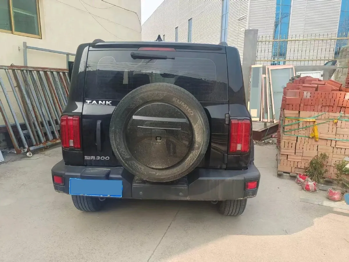 2023 Tank 300 2.0T 227HP L4 8AT,autocango,china used car exporter,china ev exporter,chinese used car exporter,chinese used ev exporter