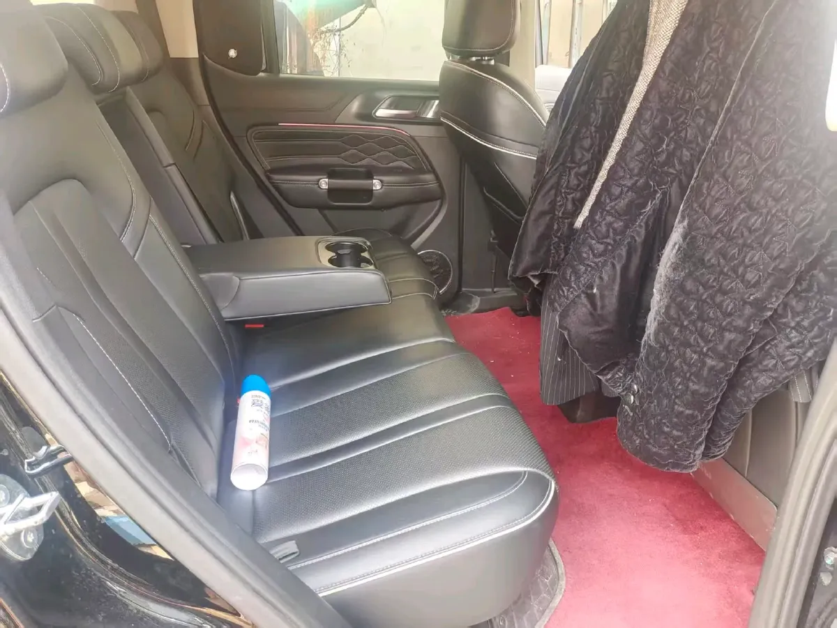 2023 Tank 300 2.0T 227HP L4 8AT,autocango,china used car exporter,china ev exporter,chinese used car exporter,chinese used ev exporter