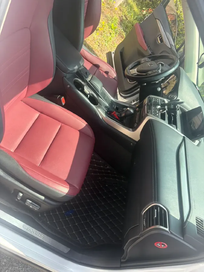 2020 Lexus NX 2.0L 150HP L4 CVT,autocango,china used car exporter,china ev exporter,chinese used car exporter,chinese used ev exporter