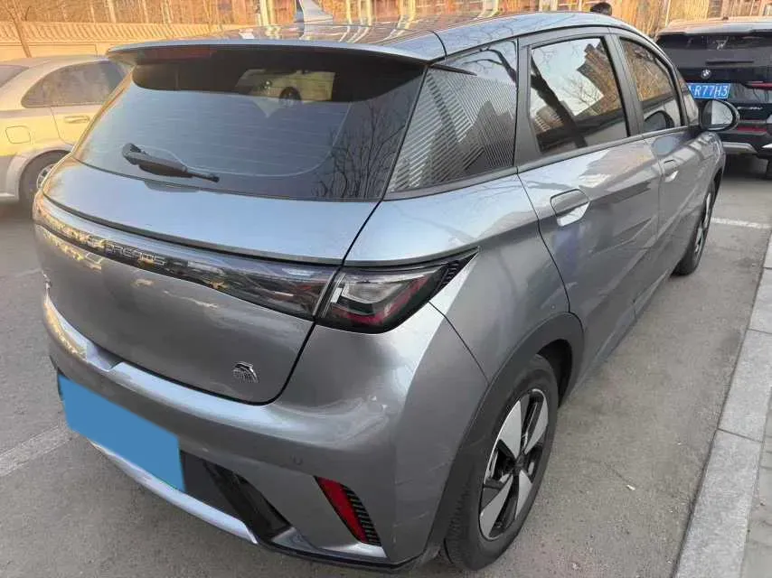 2023 BYD Dolphin BEV 44.928KWH,autocango,china used car exporter,china ev exporter,chinese used car exporter,chinese used ev exporter