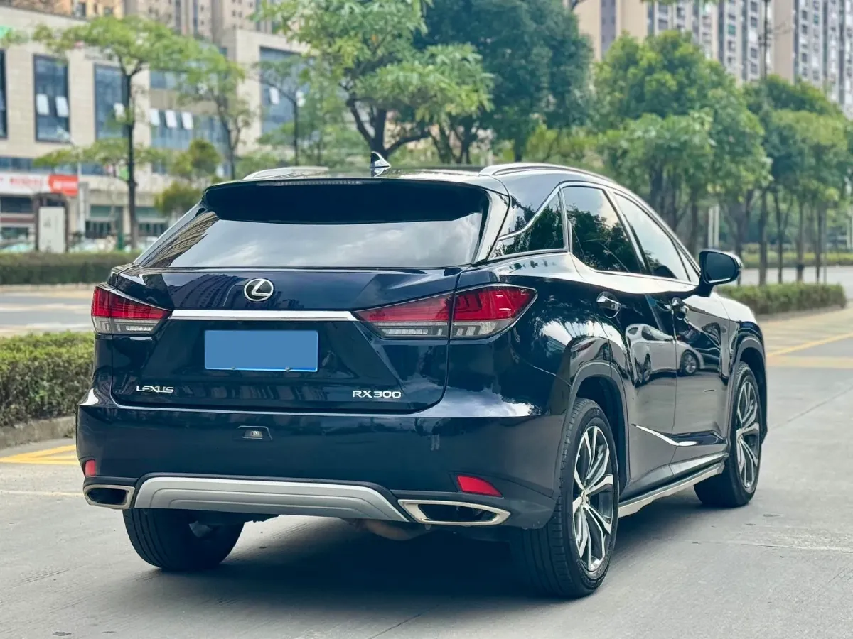 2020 Lexus RX 2.0T 231HP L4 6AT,autocango,china used car exporter,china ev exporter,chinese used car exporter,chinese used ev exporter