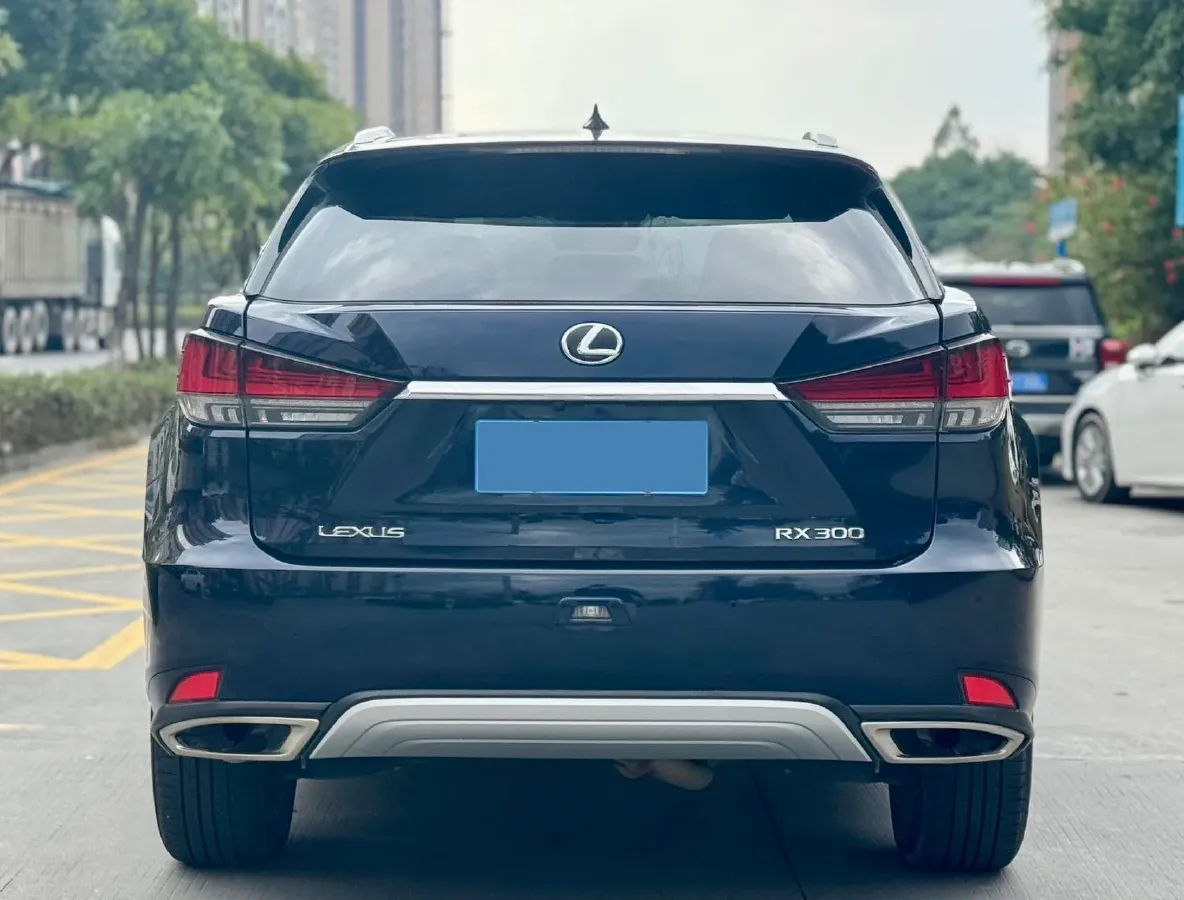 2020 Lexus RX 2.0T 231HP L4 6AT,autocango,china used car exporter,china ev exporter,chinese used car exporter,chinese used ev exporter