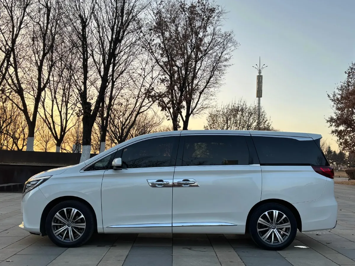 2020 GAC Trumpchi M8 2.0T 252HP L4 8AT,autocango,china used car exporter,china ev exporter,chinese used car exporter,chinese used ev exporter