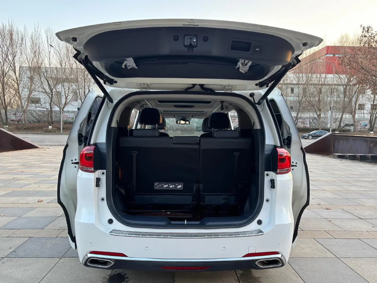 2020 GAC Trumpchi M8 2.0T 252HP L4 8AT,autocango,china used car exporter,china ev exporter,chinese used car exporter,chinese used ev exporter