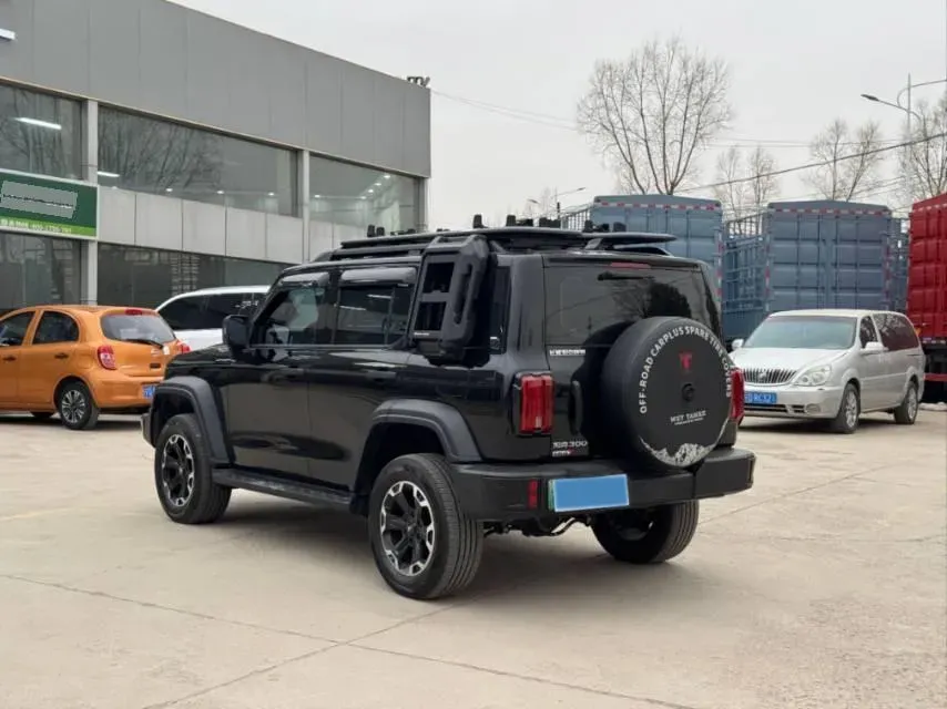 2025 Tank 300 2.0T 252HP L4 9AT PHEV,autocango,china used car exporter,china ev exporter,chinese used car exporter,chinese used ev exporter