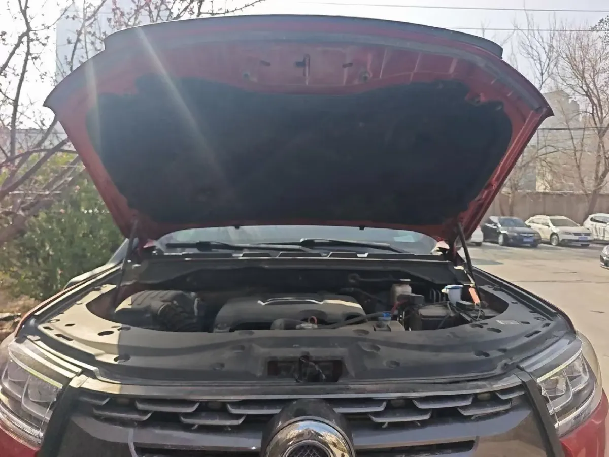 2020 Great Wall Poer 2.0T 190HP L4 8AT,autocango,china used car exporter,china ev exporter,chinese used car exporter,chinese used ev exporter