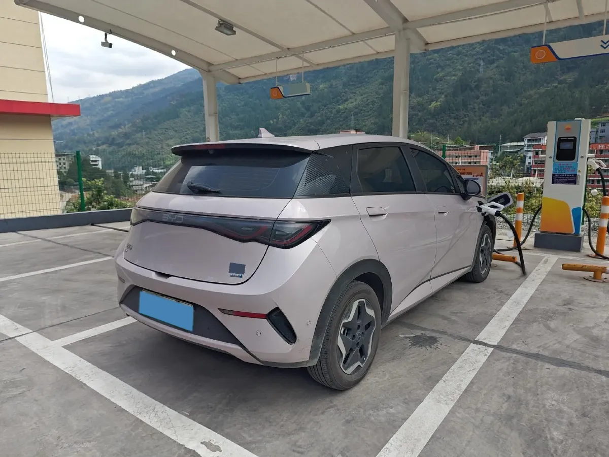 2025 BYD Dolphin BEV 45.12KWH,autocango,china used car exporter,china ev exporter,chinese used car exporter,chinese used ev exporter