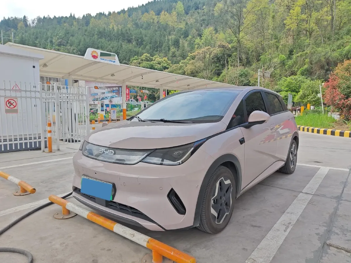 2025 BYD Dolphin BEV 45.12KWH,autocango,china used car exporter,china ev exporter,chinese used car exporter,chinese used ev exporter