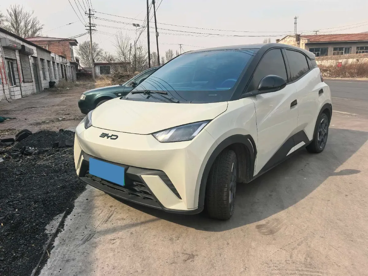 2024 BYD Seagull BEV 38.88KWH,autocango,china used car exporter,china ev exporter,chinese used car exporter,chinese used ev exporter