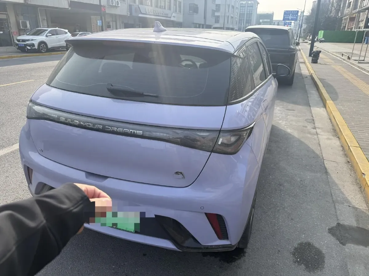 2023 BYD Dolphin BEV 44.928KWH,autocango,china used car exporter,china ev exporter,chinese used car exporter,chinese used ev exporter