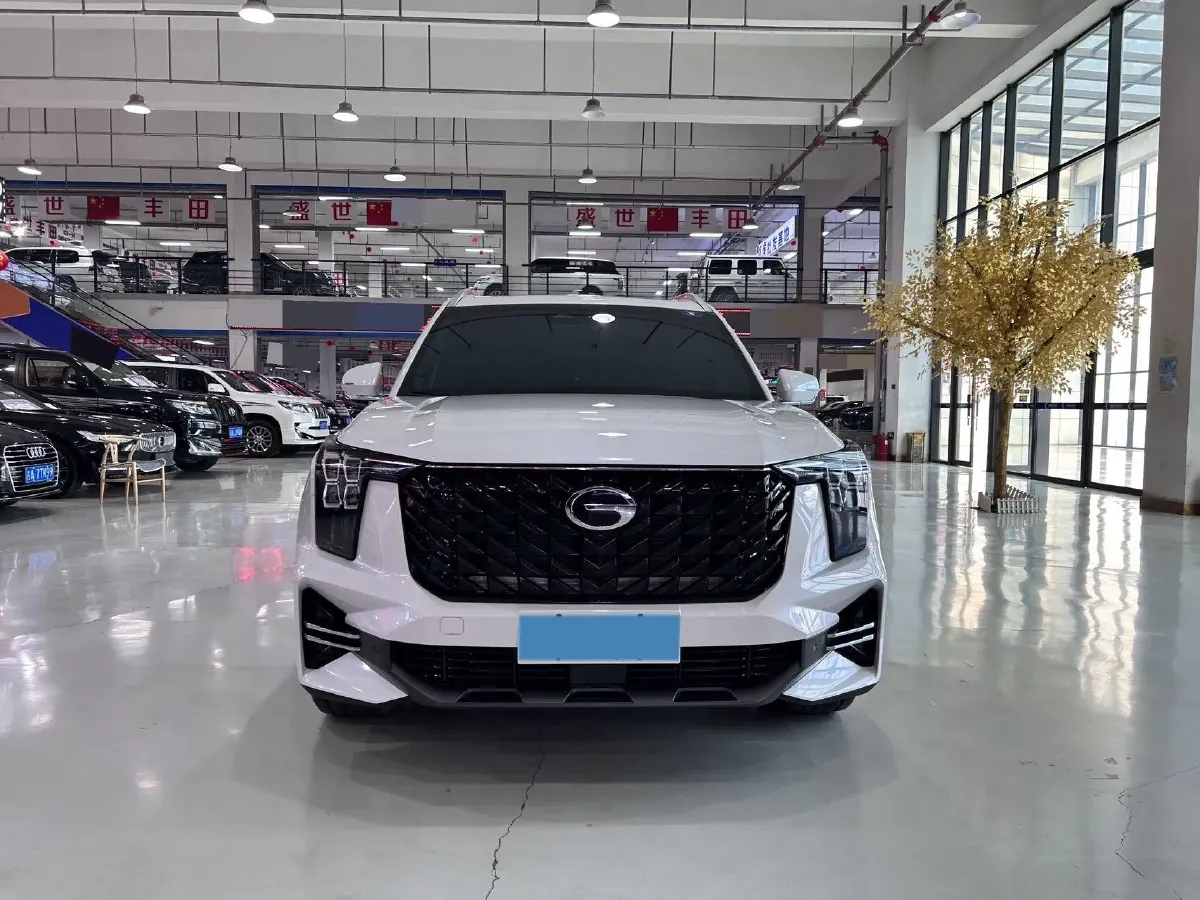 2025 GAC Trumpchi GS8 2.0T 252HP L4 8AT,autocango,china used car exporter,china ev exporter,chinese used car exporter,chinese used ev exporter