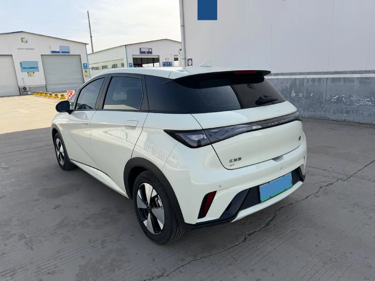 2023 BYD Dolphin BEV 44.928KWH,autocango,china used car exporter,china ev exporter,chinese used car exporter,chinese used ev exporter