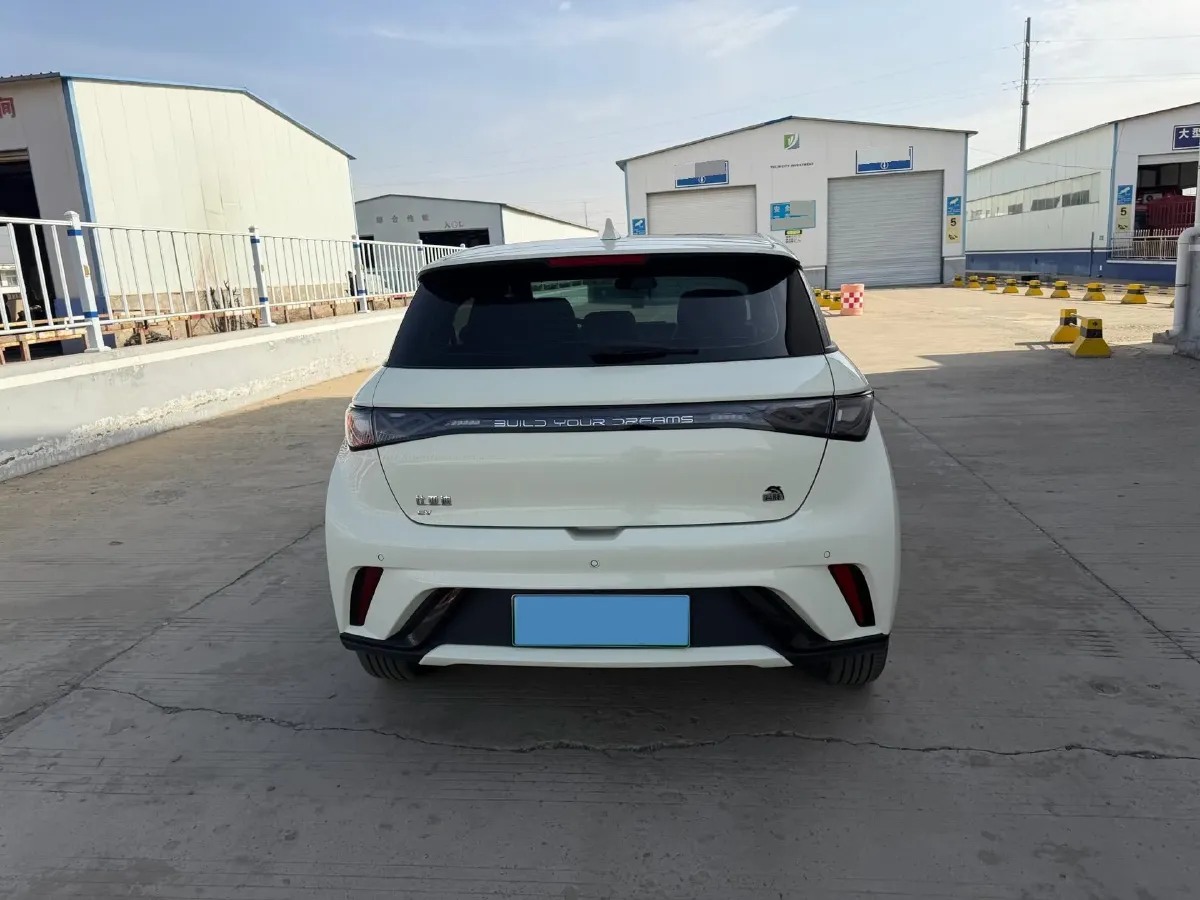 2023 BYD Dolphin BEV 44.928KWH,autocango,china used car exporter,china ev exporter,chinese used car exporter,chinese used ev exporter