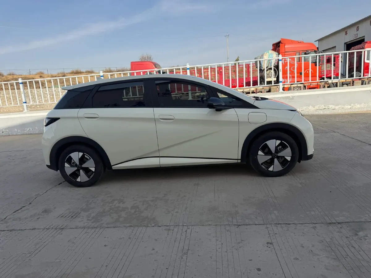 2023 BYD Dolphin BEV 44.928KWH,autocango,china used car exporter,china ev exporter,chinese used car exporter,chinese used ev exporter