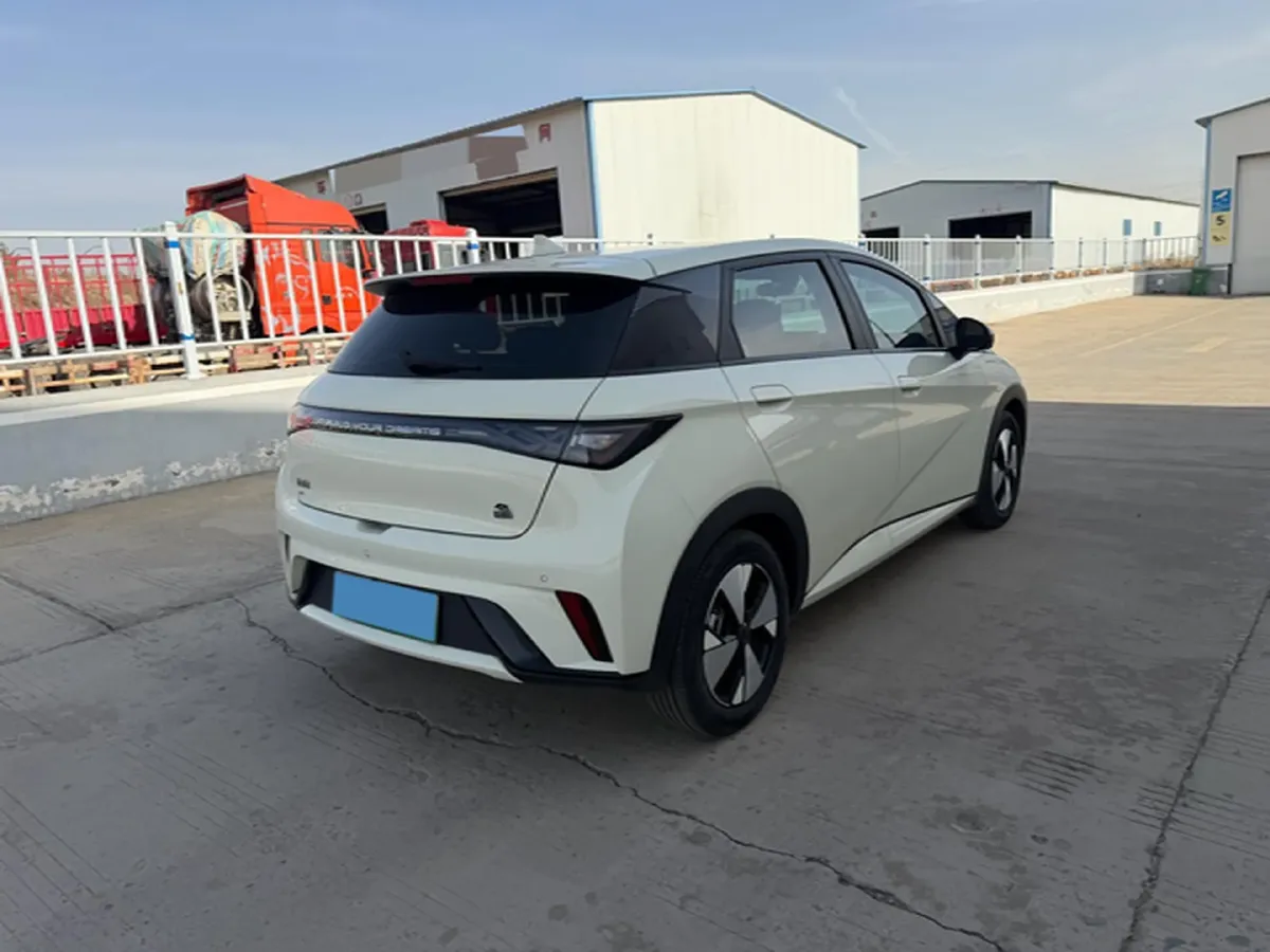 2023 BYD Dolphin BEV 44.928KWH,autocango,china used car exporter,china ev exporter,chinese used car exporter,chinese used ev exporter