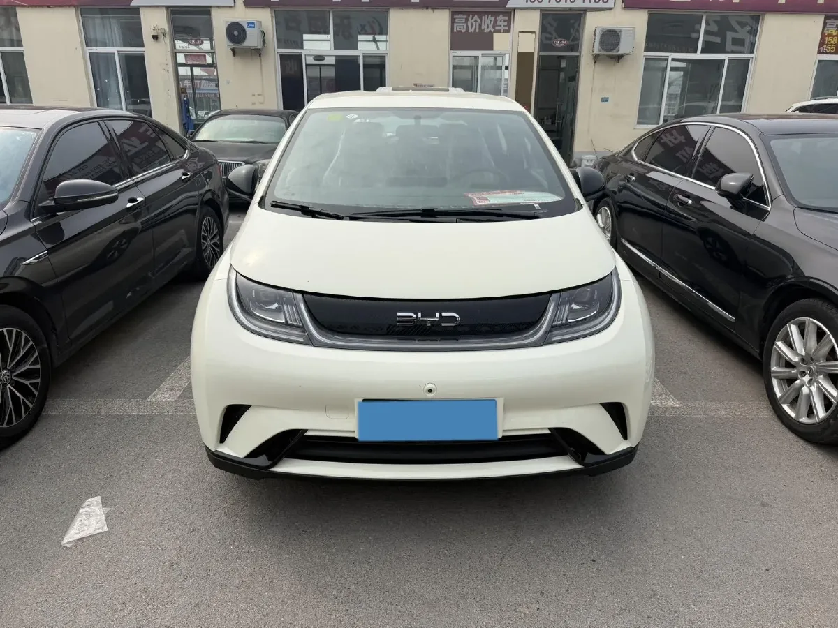 2025 BYD Dolphin BEV 44.928KWH,autocango,china used car exporter,china ev exporter,chinese used car exporter,chinese used ev exporter