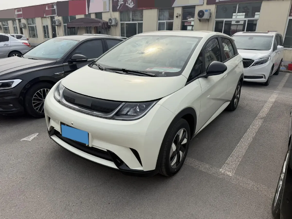 2025 BYD Dolphin BEV 44.928KWH,autocango,china used car exporter,china ev exporter,chinese used car exporter,chinese used ev exporter