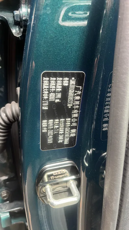 2022 GAC Trumpchi GS8 2.0T 252HP L4 8AT,autocango,china used car exporter,china ev exporter,chinese used car exporter,chinese used ev exporter