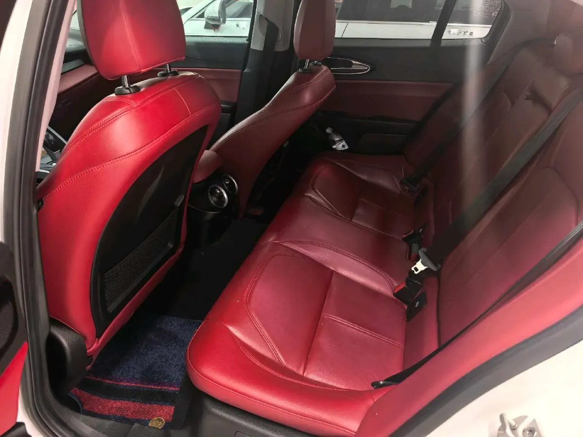 2017 Ford Mustang 2.3T 314HP L4 6AT,autocango,china used car exporter,china ev exporter,chinese used car exporter,chinese used ev exporter