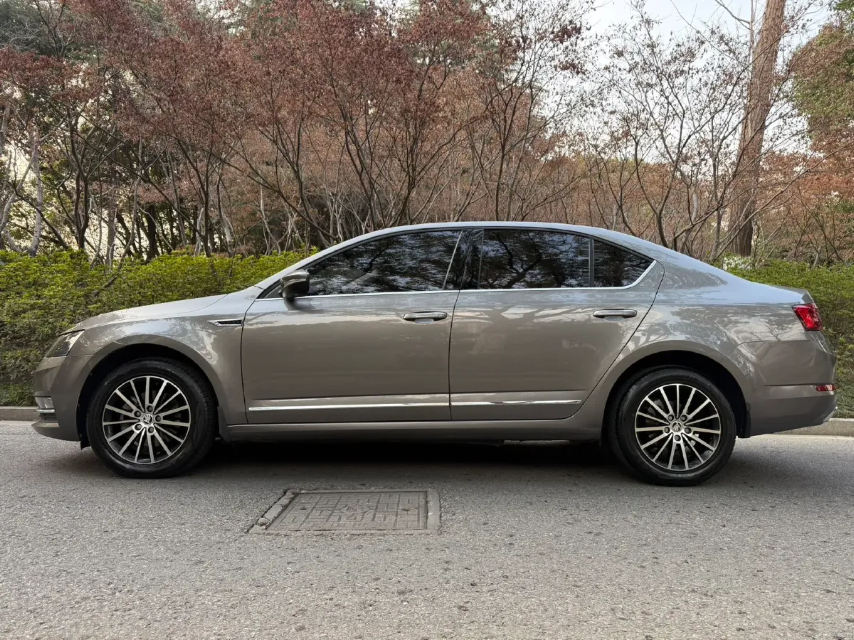2019 Skoda Octavia 1.5L 116HP L4 6AT,autocango,china used car exporter,china ev exporter,chinese used car exporter,chinese used ev exporter