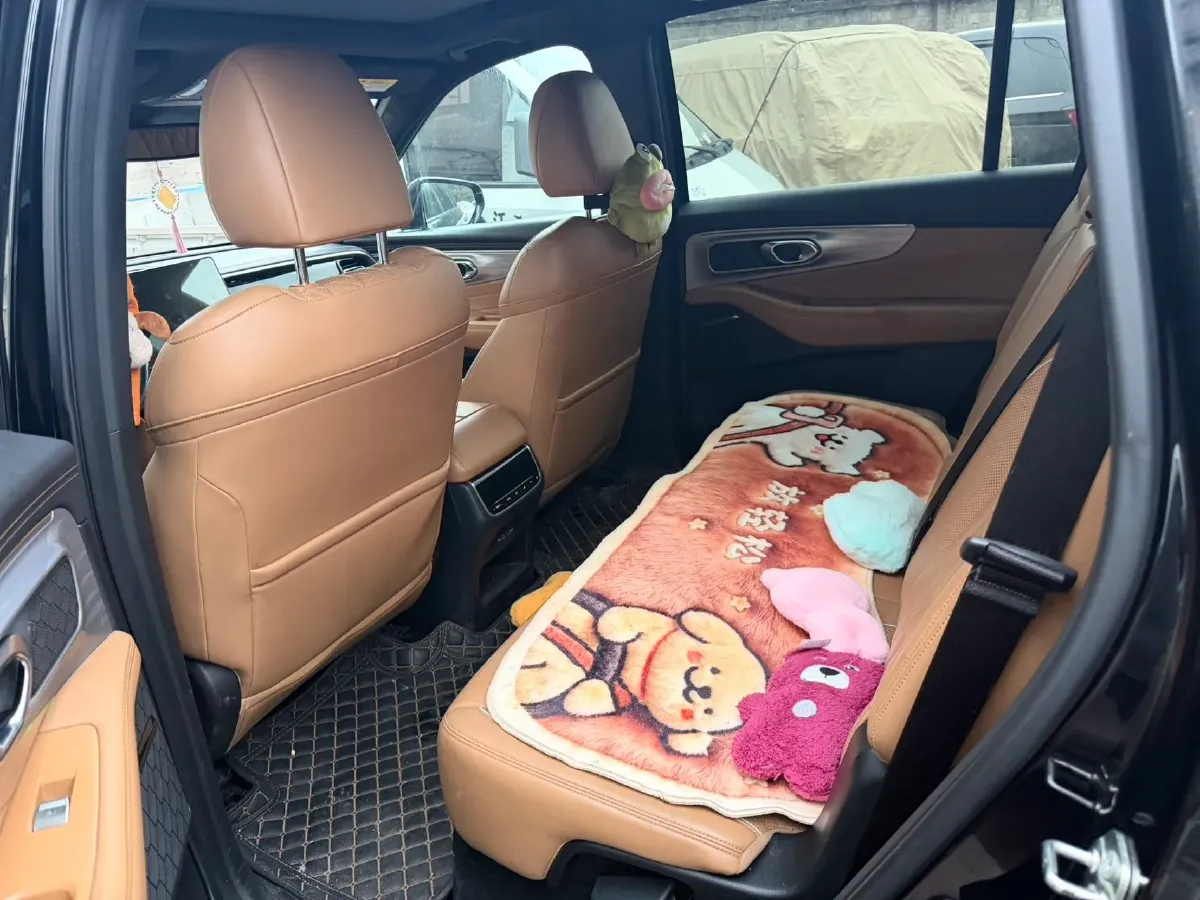 2022 GAC Trumpchi GS8 2.0T 252HP L4 8AT,autocango,china used car exporter,china ev exporter,chinese used car exporter,chinese used ev exporter