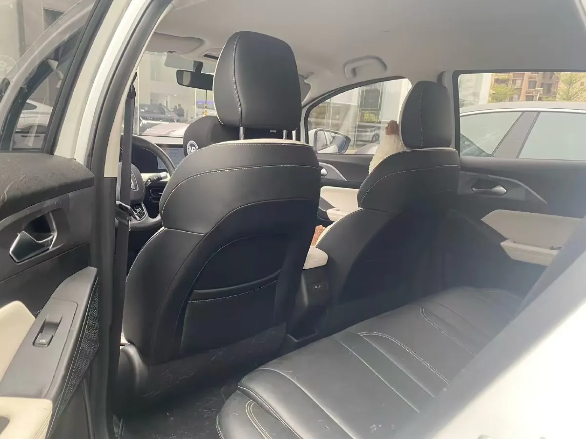 2024 Geometry E BEV 29.67KWH,autocango,china used car exporter,china ev exporter,chinese used car exporter,chinese used ev exporter