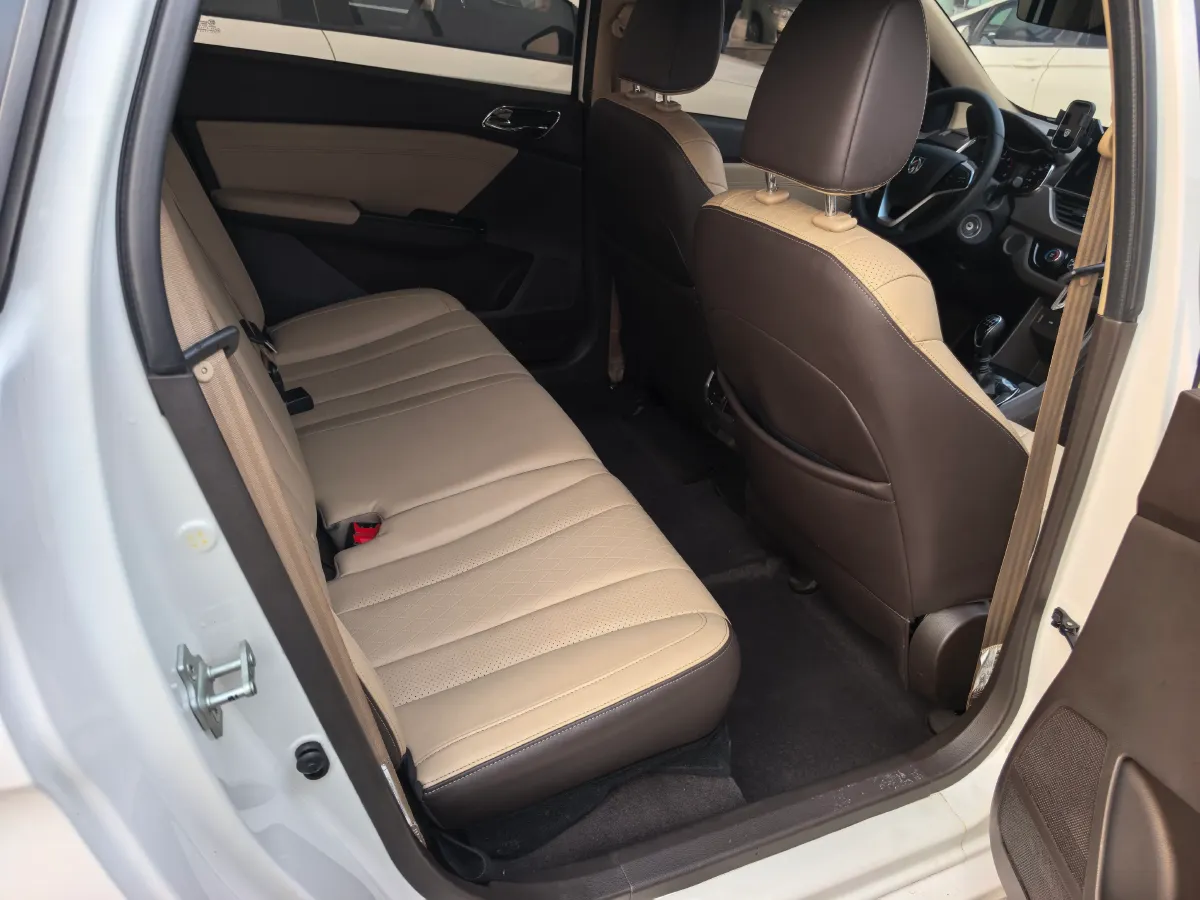 2019 Golden Dragon New Era Sea Lion 2.0L 102HP L4 5MT,autocango,china used car exporter,china ev exporter,chinese used car exporter,chinese used ev exporter