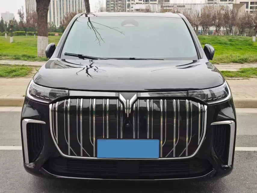 2024 Voyah Dream 1.5T 150HP L4 PHEV 43KWH,autocango,china used car exporter,china ev exporter,chinese used car exporter,chinese used ev exporter