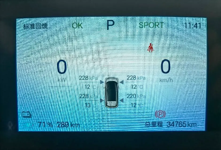 2024 BYD Dolphin BEV 44.928KWH,autocango,china used car exporter,china ev exporter,chinese used car exporter,chinese used ev exporter