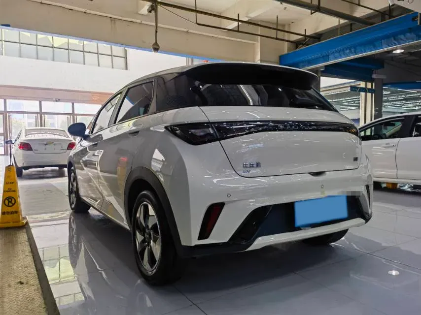 2024 BYD Dolphin BEV 44.928KWH,autocango,china used car exporter,china ev exporter,chinese used car exporter,chinese used ev exporter