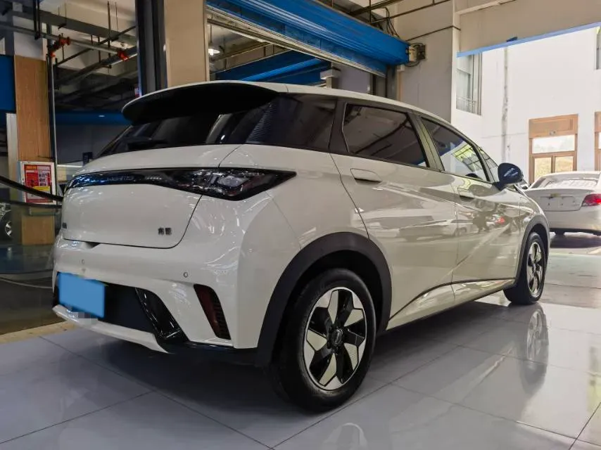 2024 BYD Dolphin BEV 44.928KWH,autocango,china used car exporter,china ev exporter,chinese used car exporter,chinese used ev exporter