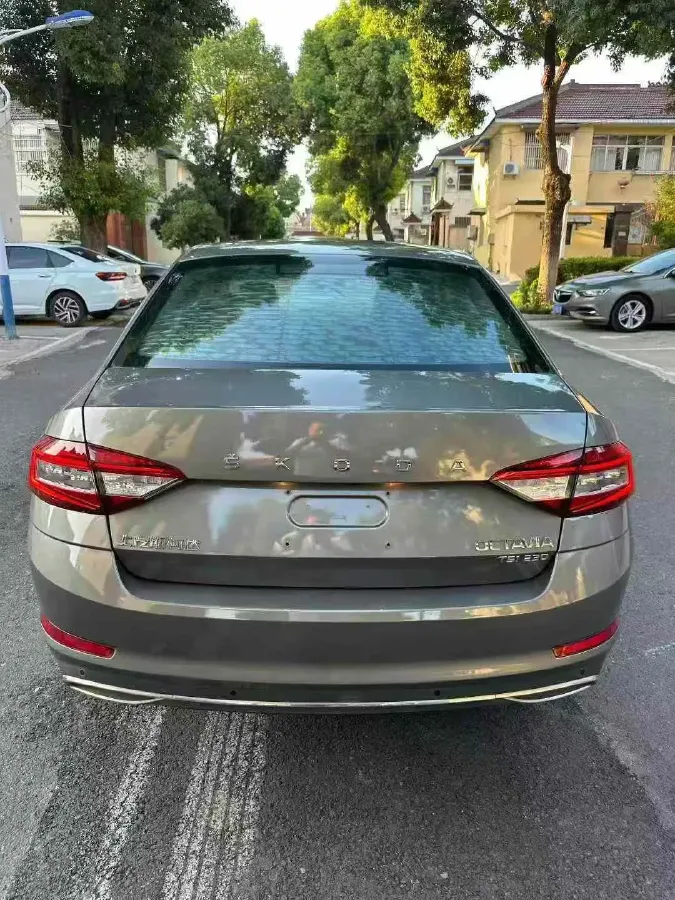 2019 Skoda Octavia 1.2T 116HP L4 7DCT,autocango,china used car exporter,china ev exporter,chinese used car exporter,chinese used ev exporter