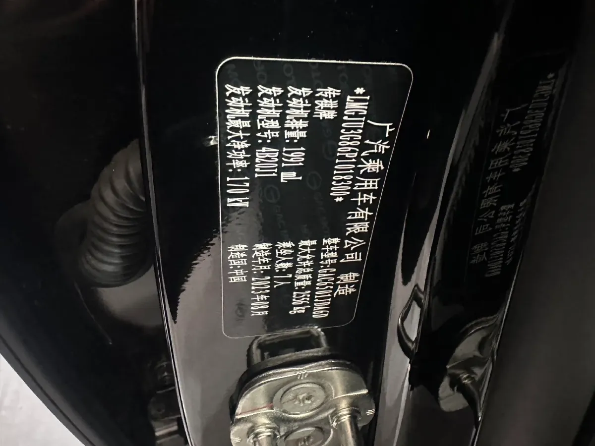 2024 GAC Trumpchi GS8 2.0T 252HP L4 8AT,autocango,china used car exporter,china ev exporter,chinese used car exporter,chinese used ev exporter