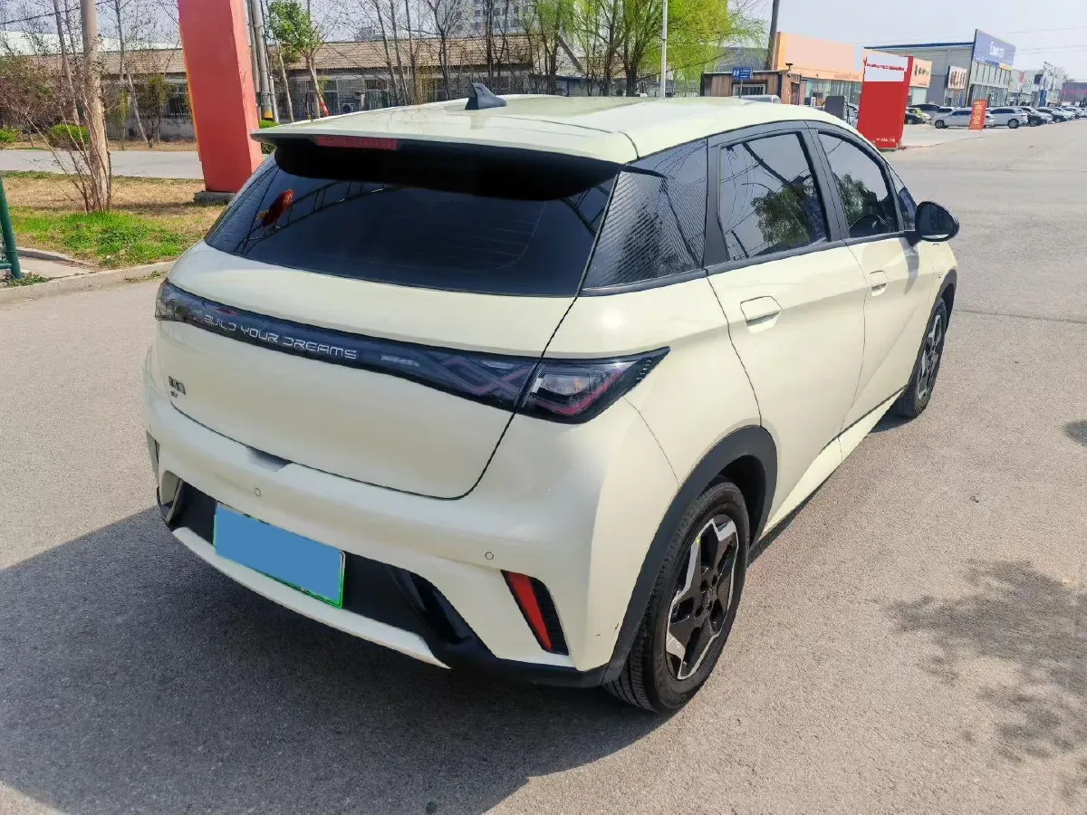 2025 BYD Dolphin BEV 44.928KWH,autocango,china used car exporter,china ev exporter,chinese used car exporter,chinese used ev exporter