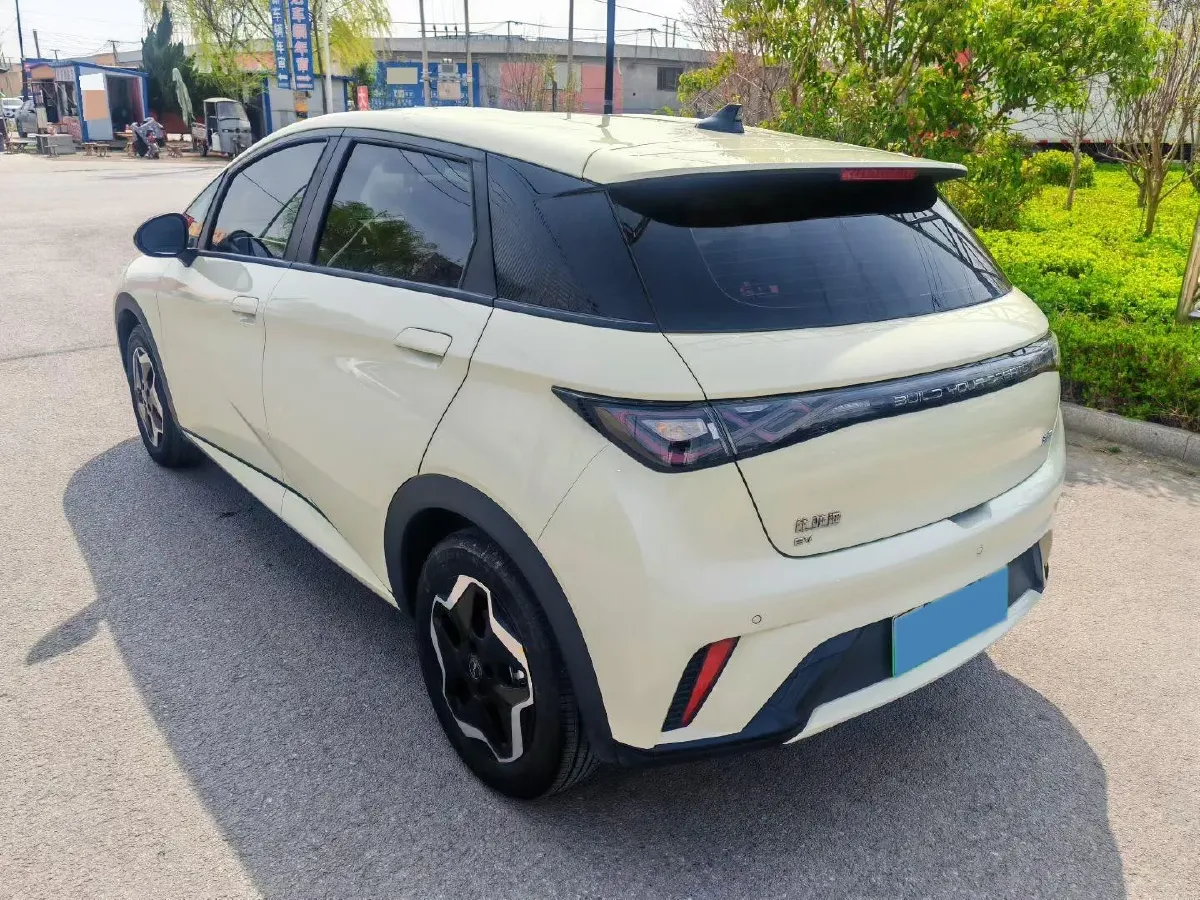 2025 BYD Dolphin BEV 44.928KWH,autocango,china used car exporter,china ev exporter,chinese used car exporter,chinese used ev exporter