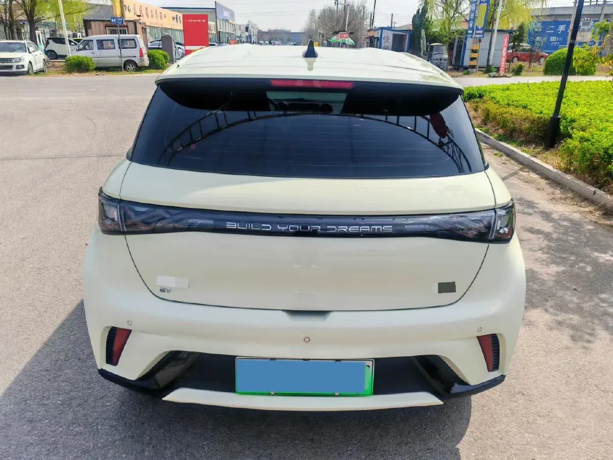 2025 BYD Dolphin BEV 44.928KWH,autocango,china used car exporter,china ev exporter,chinese used car exporter,chinese used ev exporter