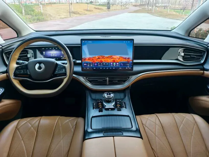 2024 Denza D9 1.5T 139HP L4 E-CVT PHEV 40KWH,autocango,china used car exporter,china ev exporter,chinese used car exporter,chinese used ev exporter