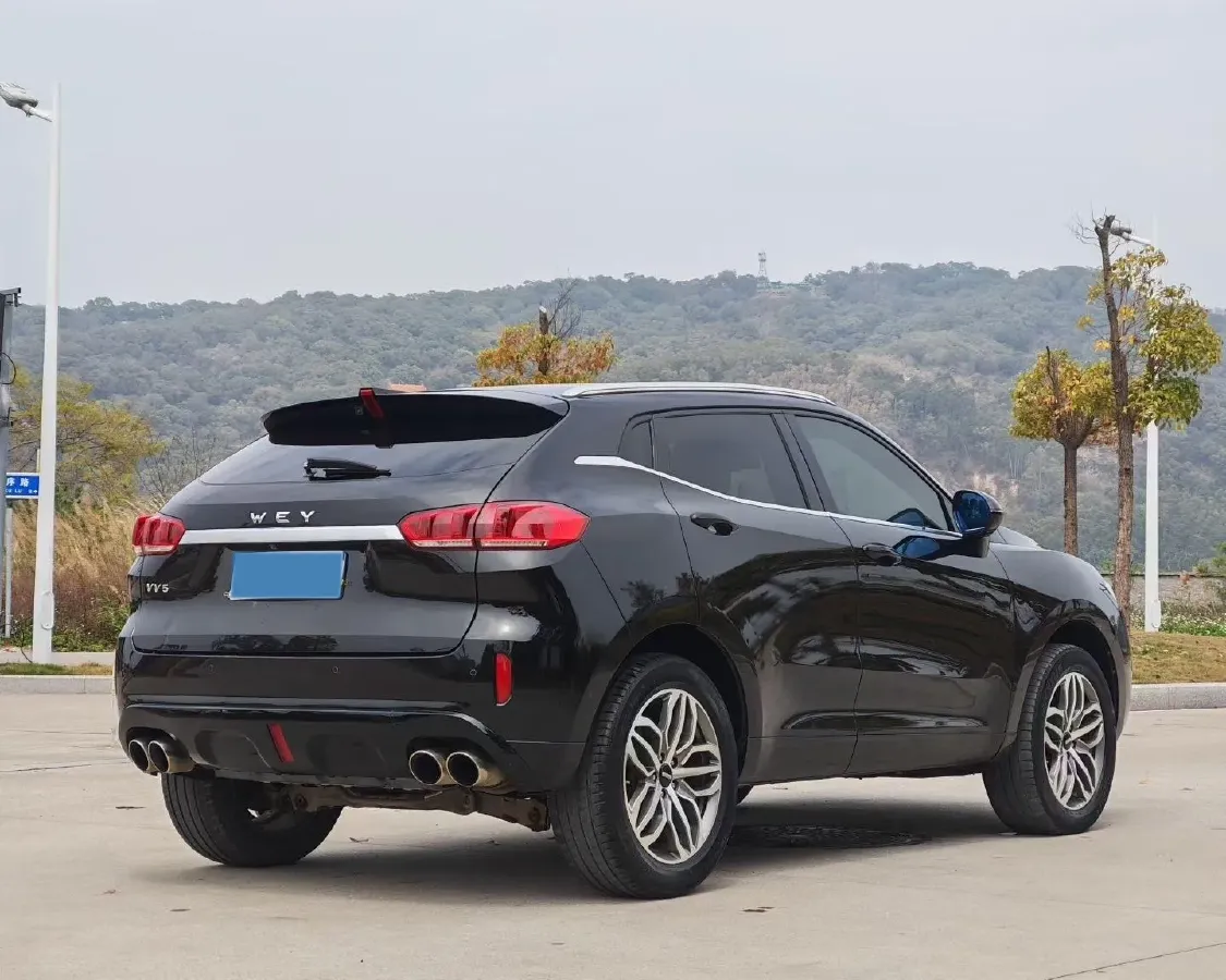 2019 WEY VV5 2.0T 224HP L4 7DCT,autocango,china used car exporter,china ev exporter,chinese used car exporter,chinese used ev exporter