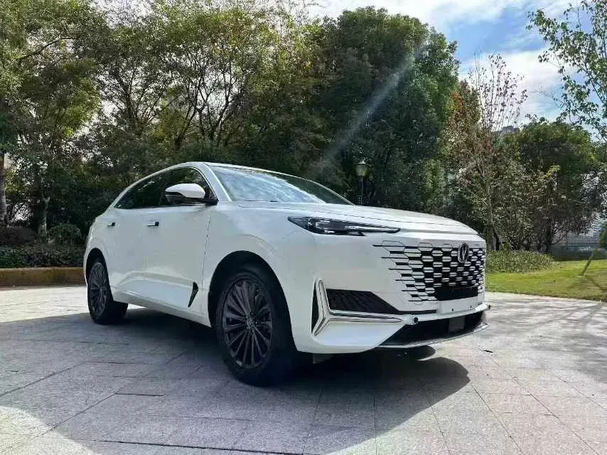 2022 Bestune T99 2.0T 224HP L4 6AT,autocango,china used car exporter,china ev exporter,chinese used car exporter,chinese used ev exporter