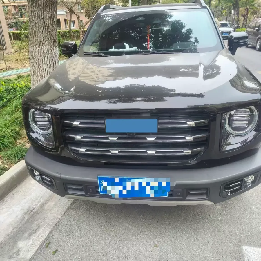 2021 Haval Dargo 2.0T 211HP L4 7DCT,autocango,china used car exporter,china ev exporter,chinese used car exporter,chinese used ev exporter