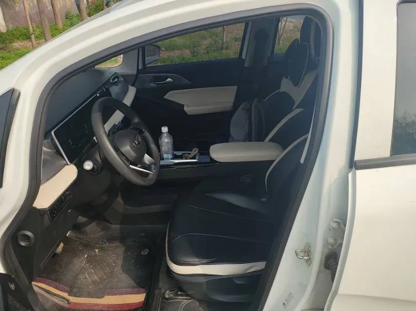 2024 Geometry E BEV 29.67KWH,autocango,china used car exporter,china ev exporter,chinese used car exporter,chinese used ev exporter