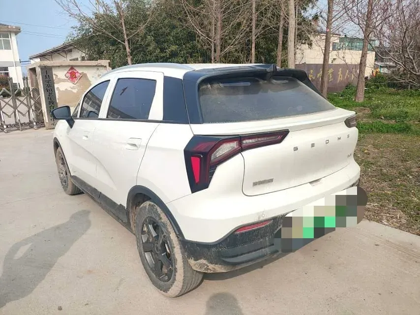 2024 Geometry E BEV 29.67KWH,autocango,china used car exporter,china ev exporter,chinese used car exporter,chinese used ev exporter