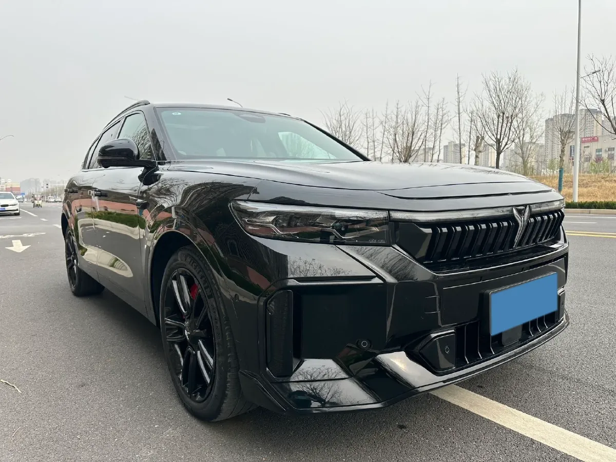 2025 Voyah FREE 1.5T 150HP L4 REEV 43KWH,autocango,china used car exporter,china ev exporter,chinese used car exporter,chinese used ev exporter