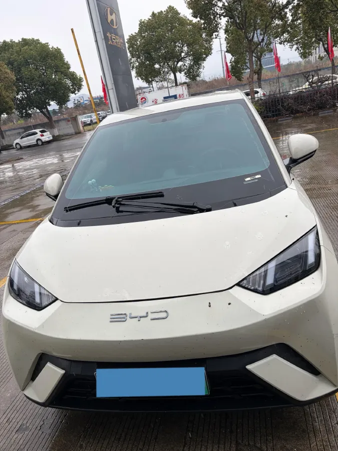 2024 BYD Seagull BEV 30.08KWH,autocango,china used car exporter,china ev exporter,chinese used car exporter,chinese used ev exporter